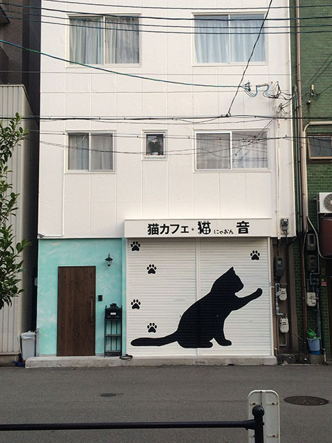 日本橋東に猫カフェ「猫音」が6/15オープン予定