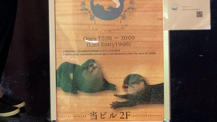 京都のカワウソカフェ「ルートル」が大阪・難波に2号店